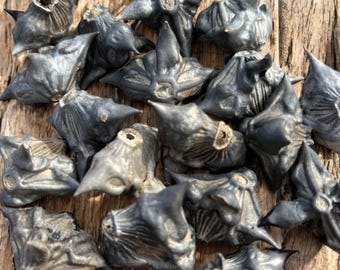 Horned Water Chestnut Seed Pods – Spooky Halloween Witchy Crafts, Gothic Decor, Aquarium & Terrarium Accent