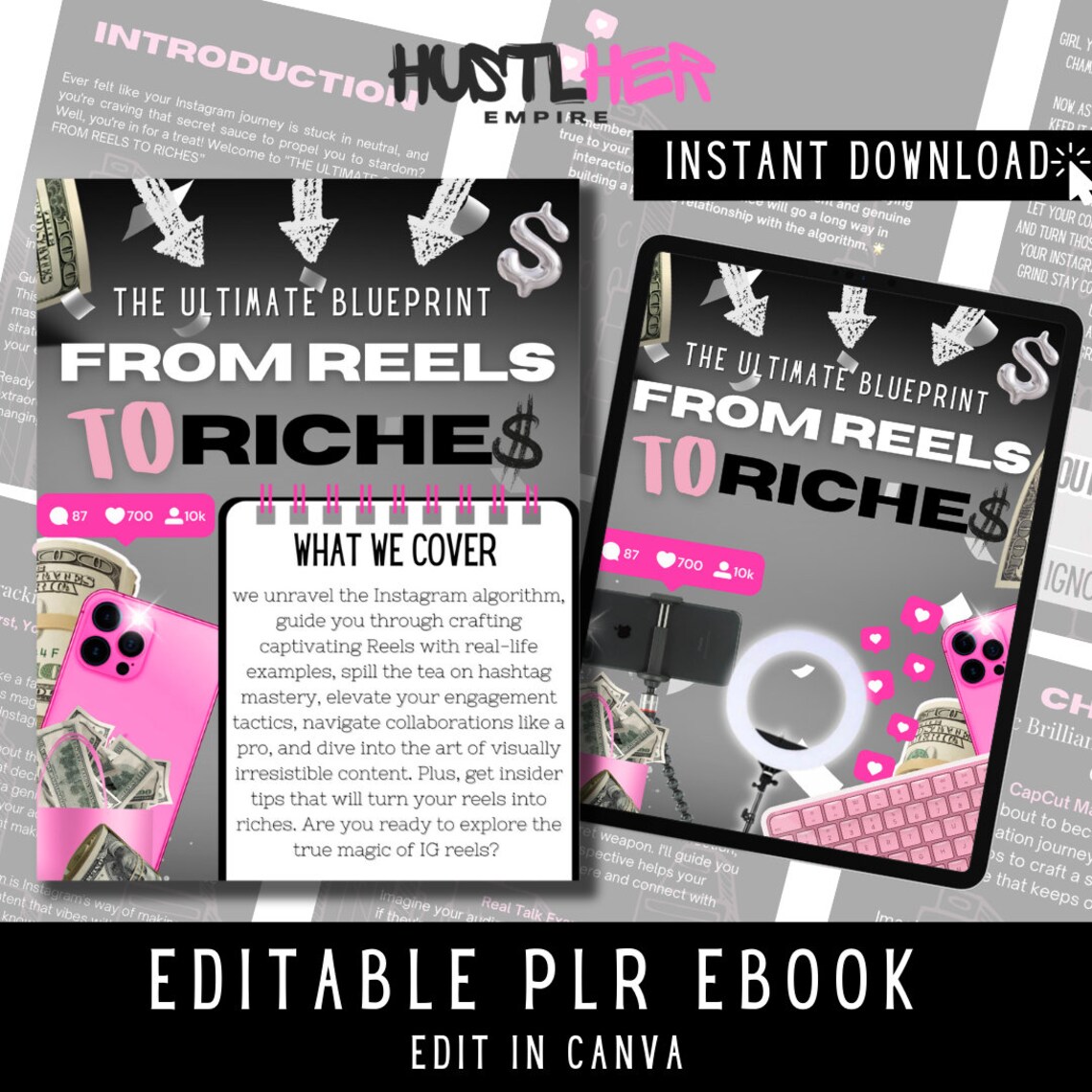 PLR DFY EBOOK , Reels to Riches Ebook, Rebrand and Resell, Done for You ...