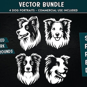 Könnte beinhalten: Vier Schwarzweiß-Vektorillustrationen von Border-Collie-Hunde-Köpfen. Die Hunde blicken in verschiedene Richtungen und haben unterschiedliche Gesichtsausdrücke. Die Illustrationen sind für dunkle Hintergründe optimiert.