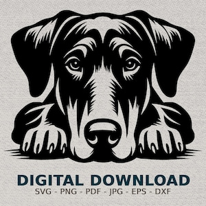 Lying Doberman SVG, Dog Clipart, Digital Illustration, Pet Silhouette, Vector Graphics, Commercial Use, PNG JPG Vector File