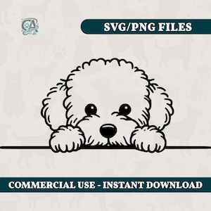 Sbirciare Maltese SVG PNG file Maltipoo Silhouettes Clipart Download immediato Collezione Vector Arte vettoriale Uso commerciale Peeking Dog