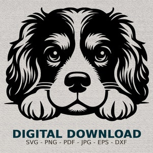 File SVG digitale Cavalier King Charles Spaniel sdraiato, clipart di licenza commerciale, elemento di progettazione grafica animale PNG, file vettoriale DXF