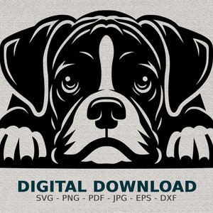 May include: Black and white silhouette of a Boxer dog looking at the viewer with its paws resting on a surface. The dog has a serious expression and its ears are floppy.