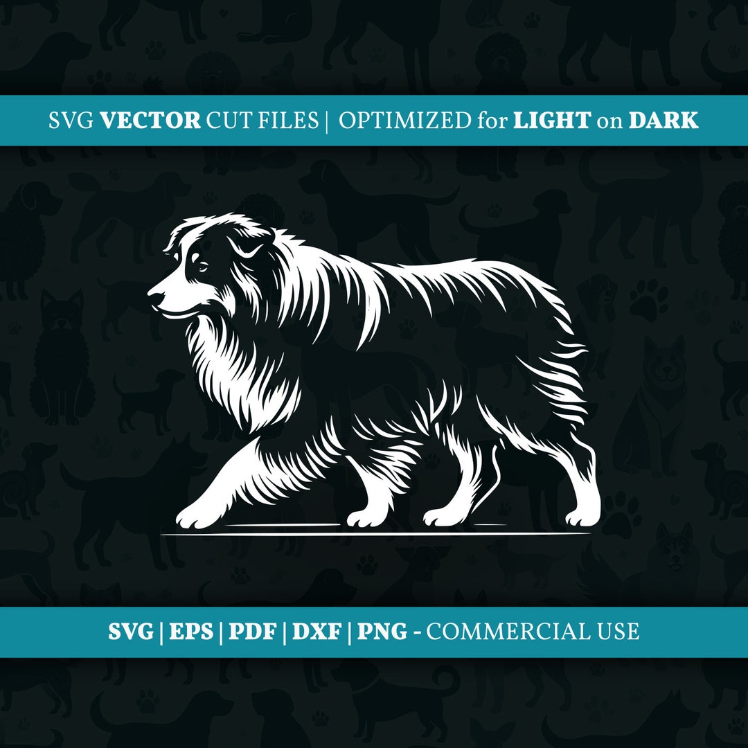Australian Shepherd Walking Aussie Vector SVG PNG Design Clipart ...