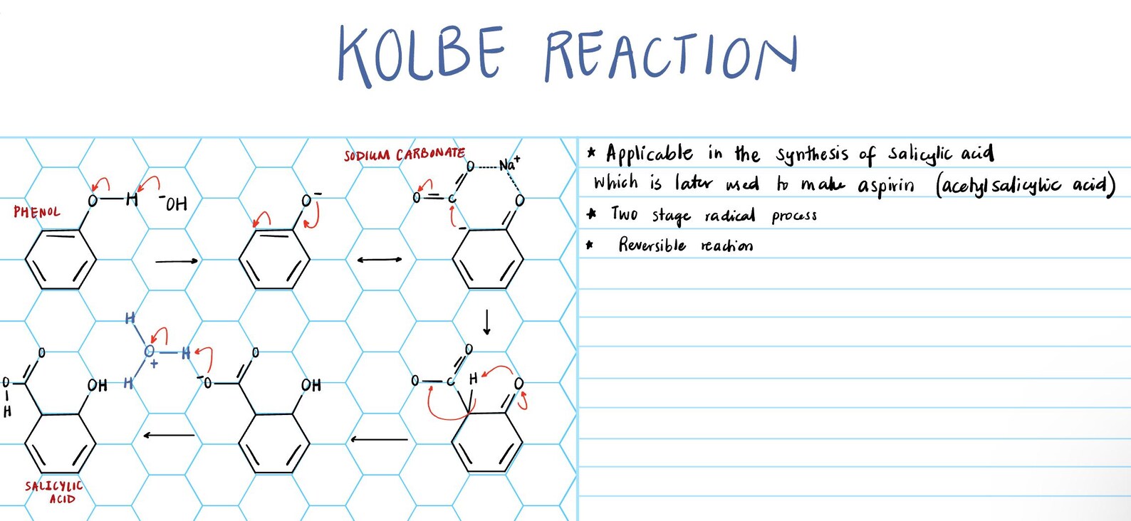 2 Page ORGANIC CHEMISTRY Notes Template With Hexagonal Grid and Notes