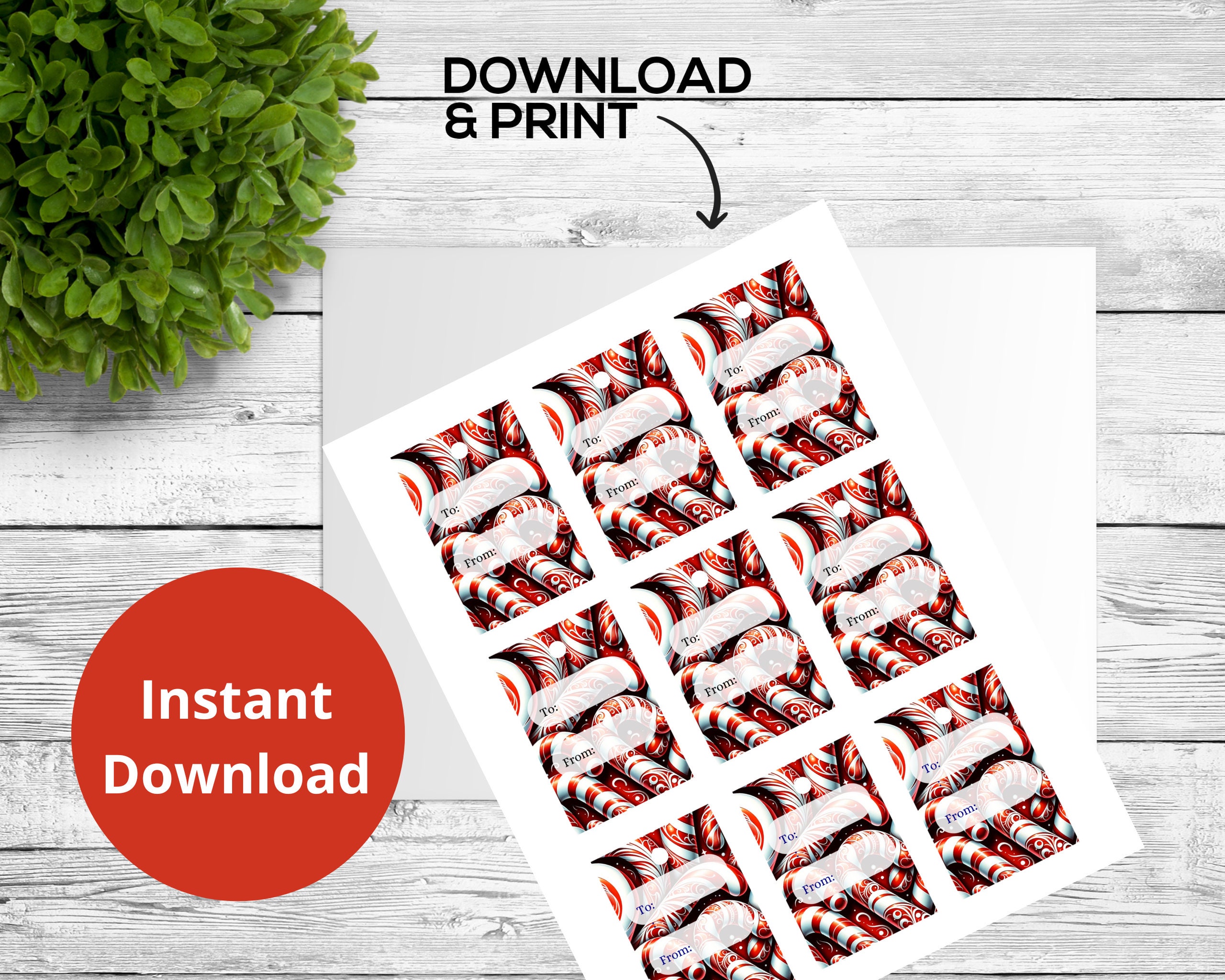 Candy Cane Christmas Gift Tag Printable Christmas Gift Tags Etsy