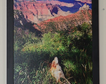 Lienzo enmarcado de 20 x 28 – Enchanched en Vista Encantada, North Rim Gran Cañón Arizona