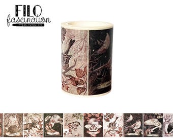 May include: A roll of decorative washi tape featuring a woodland theme with birds, leaves, and branches. The tape has a brown and white background with a pink and purple color scheme. The text "FILO fascination" is printed on the label.