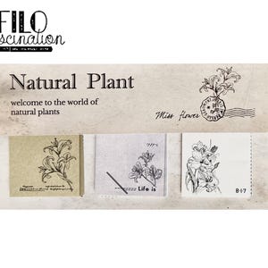 Sticky Notes Set Natural Plant bunte Klebezettel Planen Budget Planning Diary BuJo Post It Haftnotizen