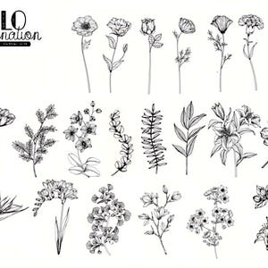Pegatinas plantas 21 piezas