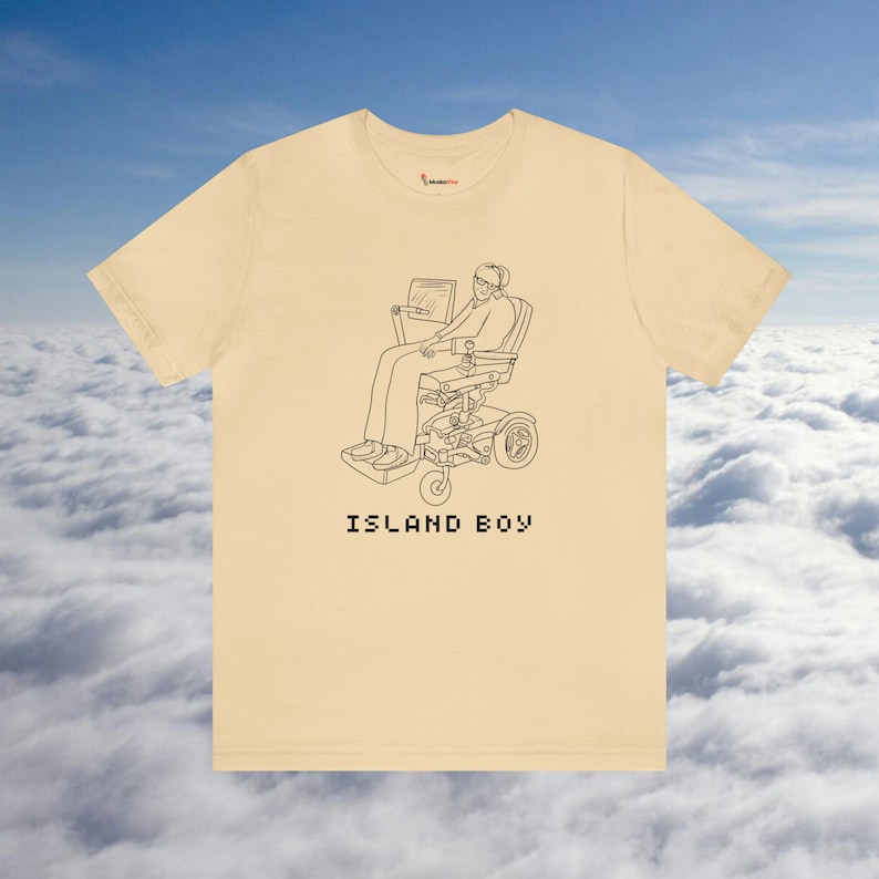 Jeffrey Epstein Shirt, Stupid Funny Shirt, Epstein List, Dark Humor, Funny Meme Tshirt, Epstein Island, Flight Logs image 3