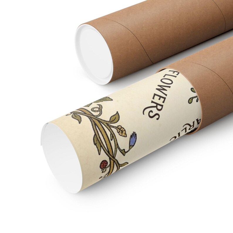 May include: Two brown cardboard tubes with white end caps. One tube is partially unrolled, revealing a botanical illustration with the word "FLOWERS" in black text. The illustration features green leaves, blue flowers, and red berries.