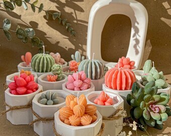 Succulent cactus Candle in a pot, Succulent cactus Terrarium in a pot, Candle for Plant rain, Holiday Cactus Candle | Birthday Gift
