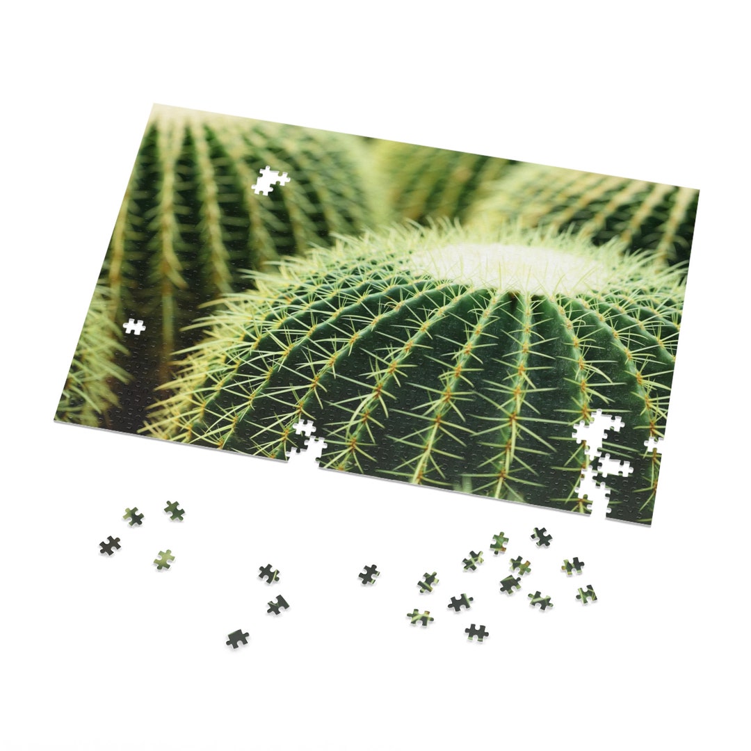 Jigsaw Puzzle Expert Level Fun Activity Very Difficult Cactus Jigsaw