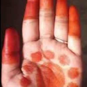 Henna / Marudhani / Mehendi Plant (2 Pots)