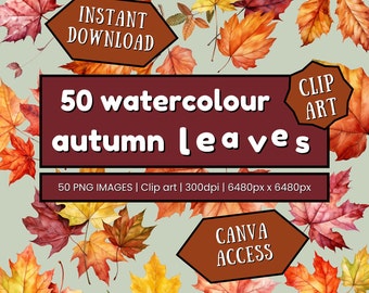 50 Autumn Leaves Watercolour Clip Art Bundle | Digital download | 50 PNG Files | Transparent Background | Large size: 6480px x 6480px