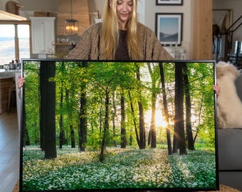 Sunny Forest Sunset Canvas Art: Wildflower Woodland Print