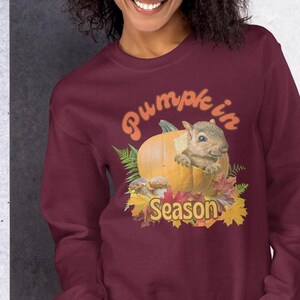 May include: A maroon sweatshirt featuring a graphic of a squirrel peeking out of a pumpkin. The text "Pumpkin Season" is printed below the pumpkin.