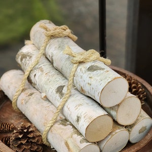 12&quot; Birch Log Bundle Set (6 Logs)