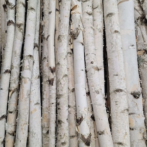 4 Pack - 16&quot;, 20&quot;, or 28&quot; -&gt; 1&quot;-2&quot; Diameter White Birch Poles