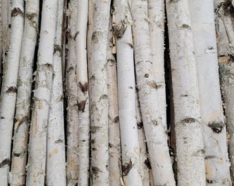 4 Pack - 3' - 4' -> 1"-2" Diameter White Birch Poles