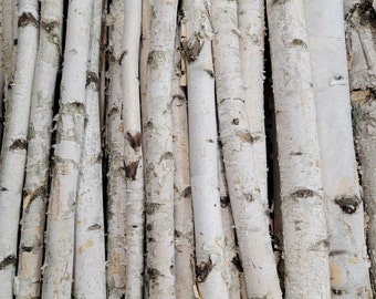 16" - 20" - 3' or 4' -> 1"-2" Diameter White Birch Poles (10 -Pack)