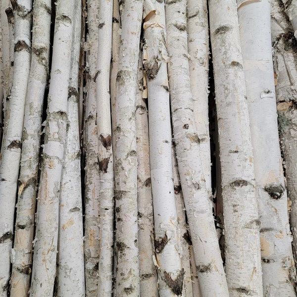 4 Pack - 3' - 4' -> 1"-2" Diameter White Birch Poles