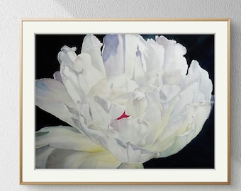 White Peony: Original Watercolor Painting, Realistic Peony Flower, Botanical Art