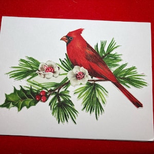 Belles cartes de vœux en tissu pour Noël.  Cardinaux mâles brillants, sur verdure de pin, houx, baies et fleurs blanches.  Blanc à l'intérieur.