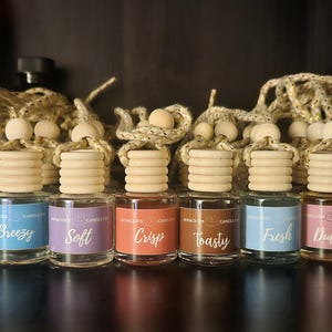 AudaciousCandleCo. Car Freshies, Car Air Fresheners, Car Diffuser