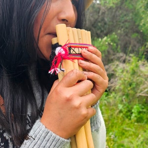 Handmade Authentic Bamboo Pan Flute with 13 Feet Pipes/Professional Pan Flute/Wind Instrument/with Case
