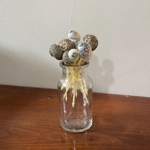 Vintage Seashell Appetizer Picks, Hors d&#39;oeuvres, Cocktail Picks Set of 12