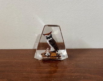 Vintage Lucite Eule Briefbeschwerer - Mid Century Modern Woodland Schreibtisch Dekor Retro Büro