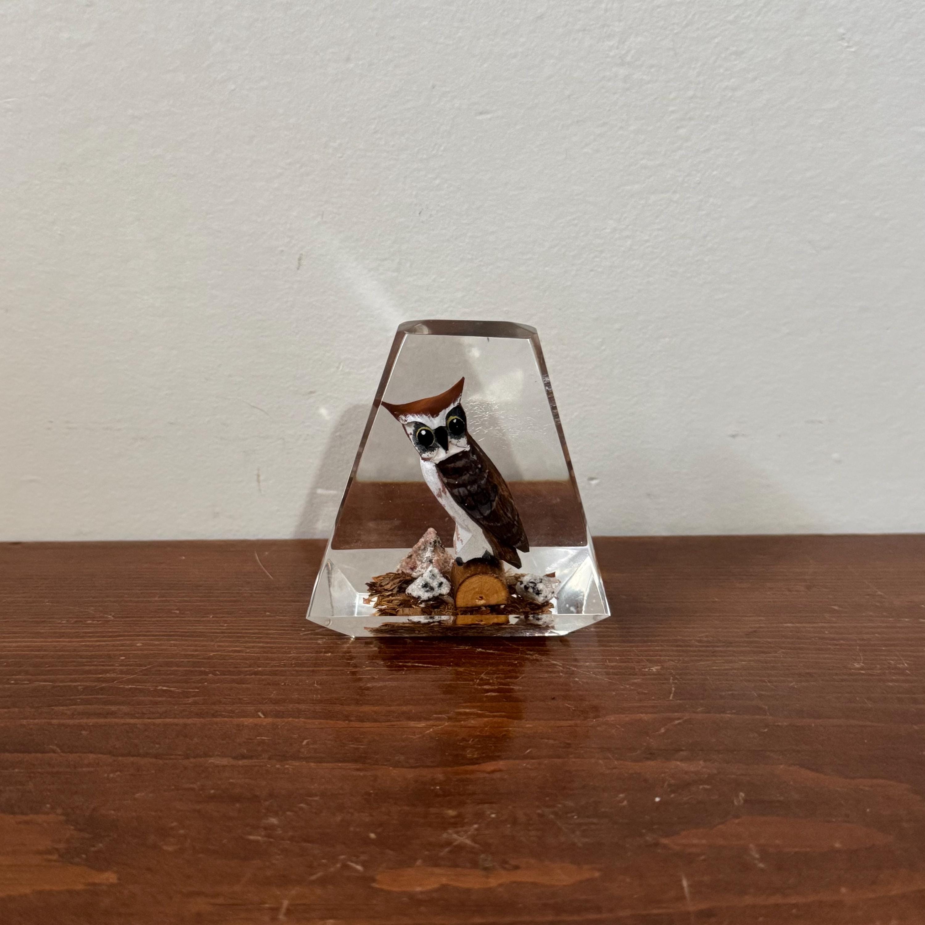 Vintage Lucite Owl Paperweight - Mid Century Modern Woodland Desk Decor Retro Office