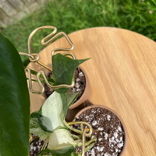 Set of mini leaf-shaped plant supports. Handcrafted. Perfect for small indoor house plants. Monstera, pothos, alocasia (Gold)