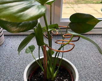 Copper Coloured Monstera Plant Support