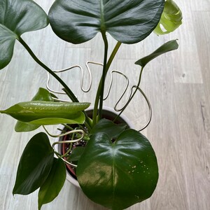 Handcrafted Monstera Leaf Plant Support Sturdy Indoor Plant. Perfect for indoor houseplants such as your Monstera Copper, Gold, Black image 5