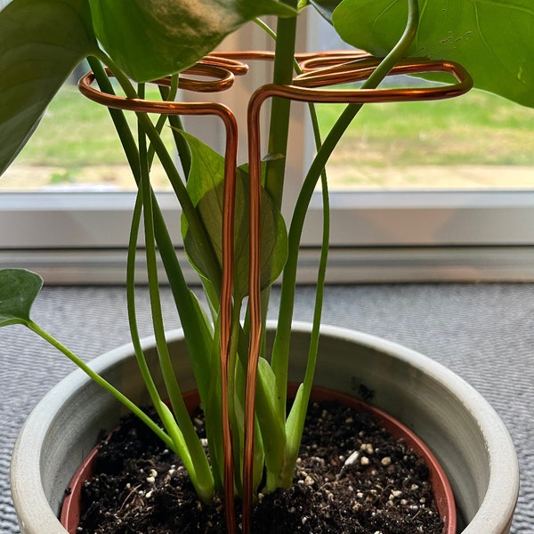 Handcrafted Monstera Leaf Plant Support - Sturdy Indoor Plant. Perfect for indoor houseplants such as your Monstera (Copper, Gold, Black)