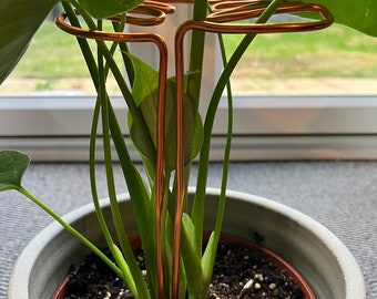 2 Small Monstera Leaf plant supports