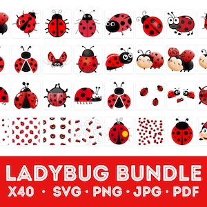 Coccinella SVG / Coccinella Bundle File SVG / Coccinella SVG a strati / File Coccinella per Cricut / Coccinella Clipart / Lady Bug Svg