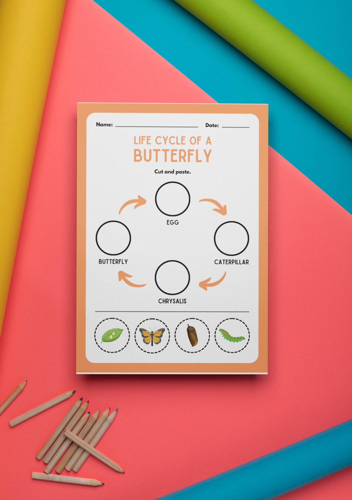 Montessori Life Cycle Cut Out Activities, Frog Life Cycle, Plant Life ...