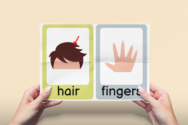 Human Anatomy Flash Cards, Homeschool Resources, Preschool Curriculum