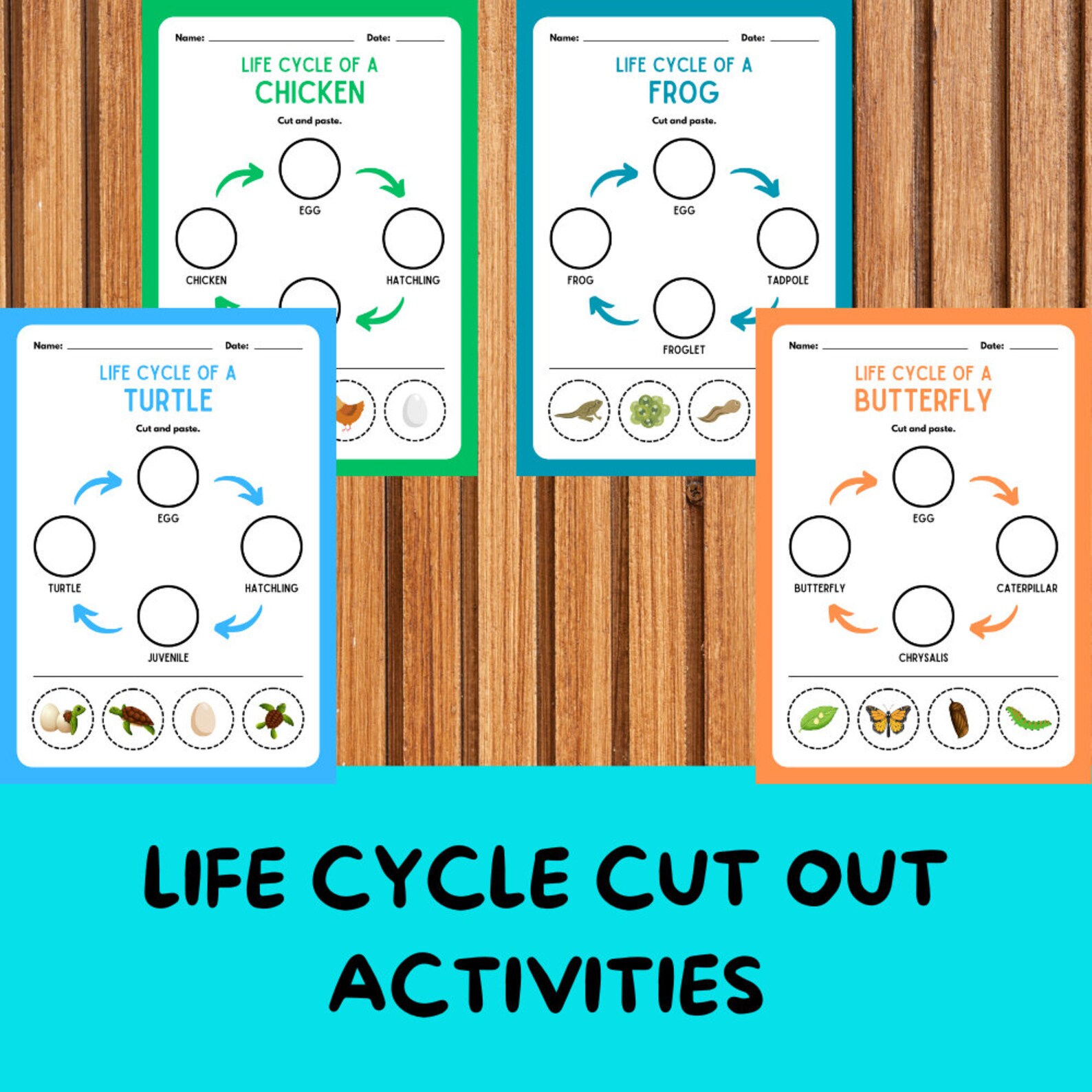 Montessori Life Cycle Cut Out Activities, Frog Life Cycle, Plant Life ...