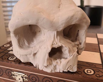 Dali Cranium, Homo Daliensis