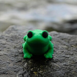 Frog Mini Fidget & Keychain