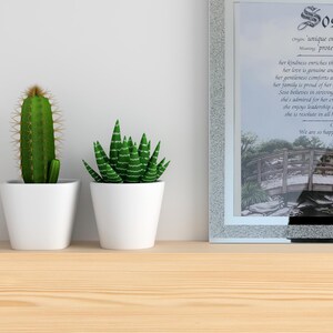 May include: A framed print with a silver glitter border. The print features a watercolour illustration of a bridge with a couple standing on it. The print also includes the names "Jose" and "Samuel" with their meanings written below.