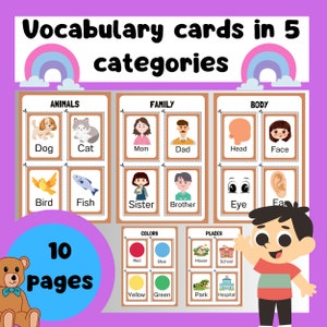 Vocabulary cards in 5 categories are suitable for students to learn vocabulary