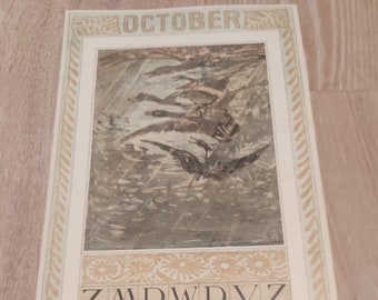 Prent, Lithografie, originele pagina van kalender ‘Ducks – eenden’ 1909 van Theo van Hoytema, beroemde Nederlandse kunstenaar. Maand: oktober, 21 x 47 cm