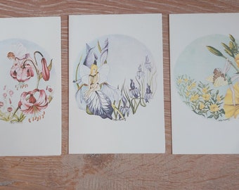 Conjunto de 3 tarjetas en blanco de Sally Fawcett; Martagon Lilly, Onagra e Iris. La Sociedad Medici