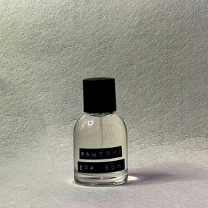 FANTÔME Eau de Parfum / Sándalo, Pimienta Negra, Petitgrain / Premiado, Perfumista Indie, Perfume de Nicho, Fragancia Amaderada, Hecho en EE.UU. imagen 4